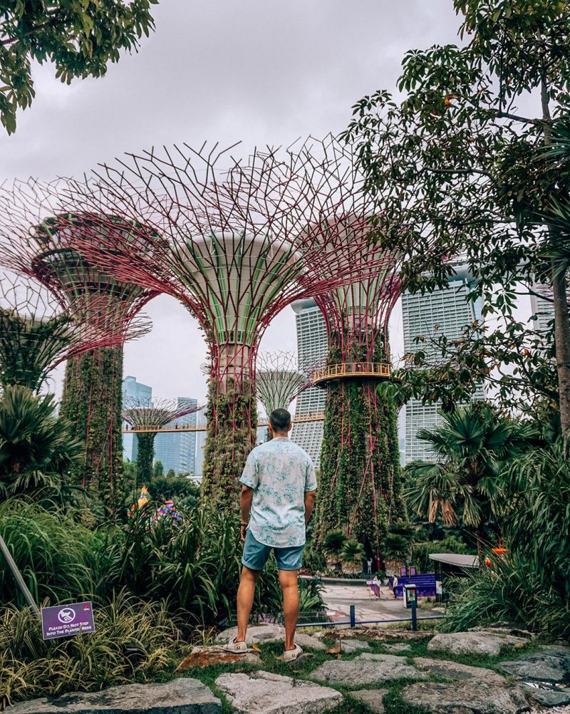 Gardens By The Bay Supertree Grove Cloud Forest Dome Travel In Our