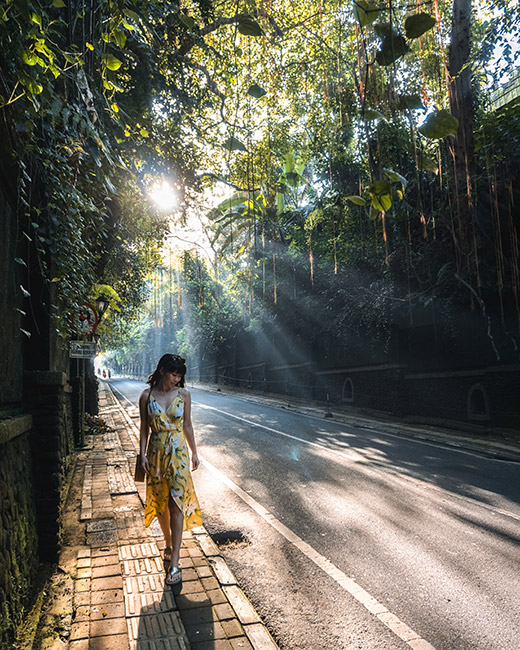 places to wander around Ubud