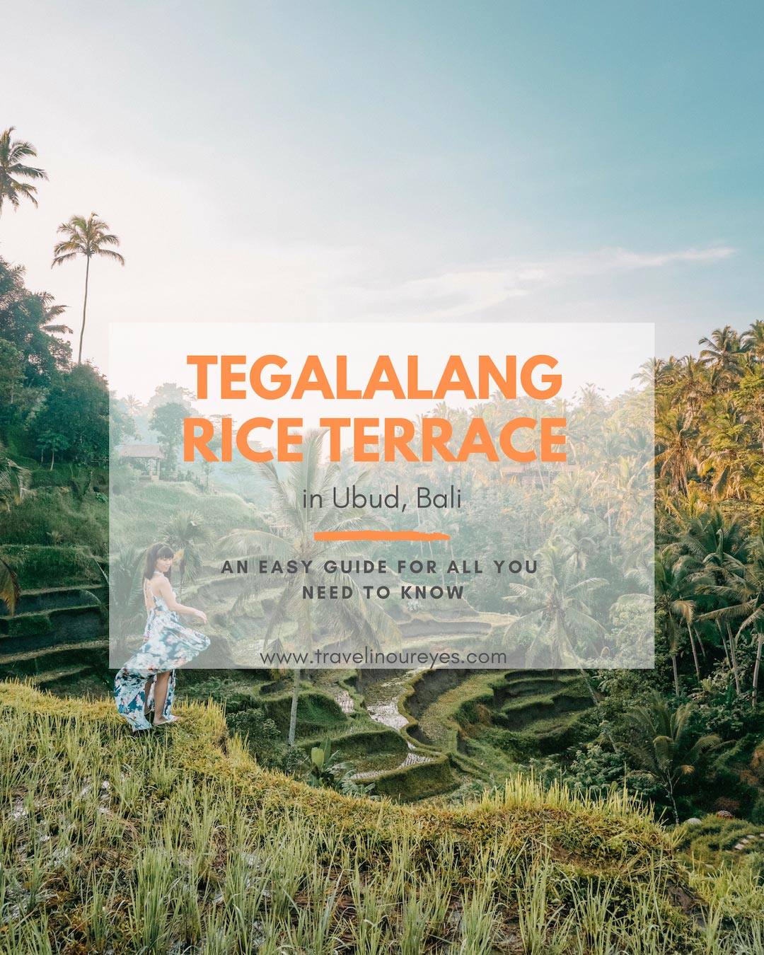 An Easy Guide to the Tegalalang Rice Terrace in Ubud Bali