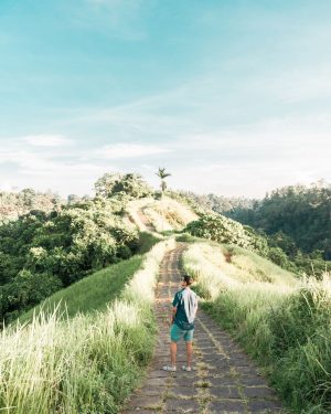 Campuhan Ridge Walk Ubud