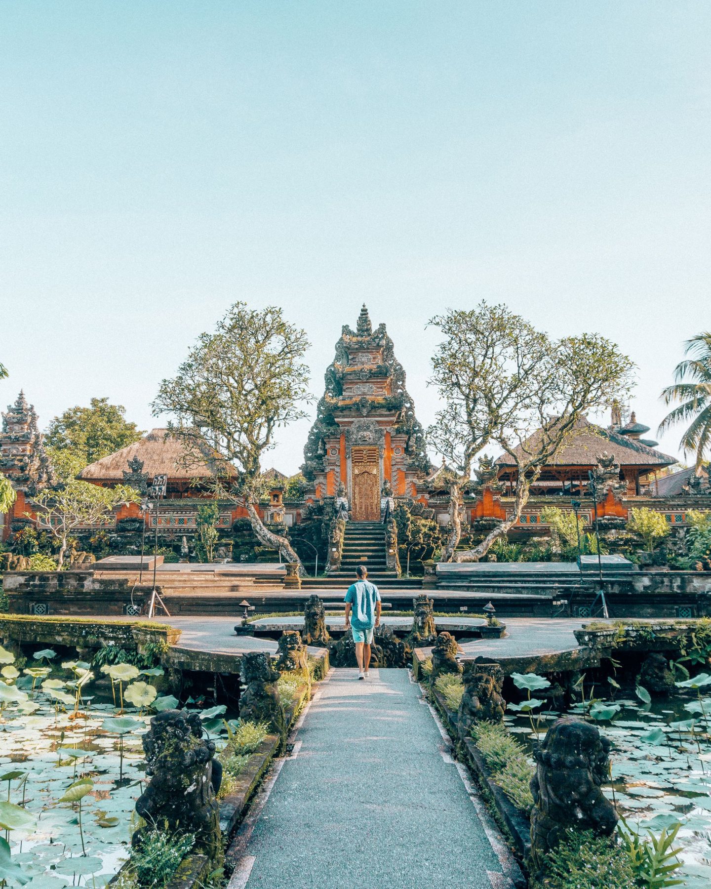 tips for travelling to bali
