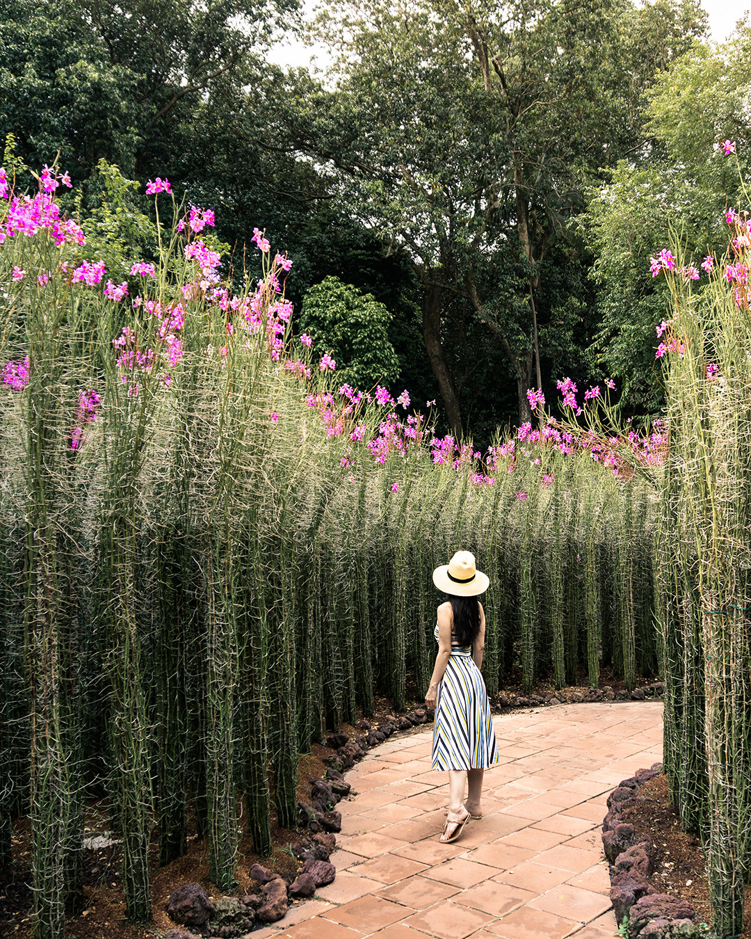 Why you should visit the Singapore Botanic Gardens