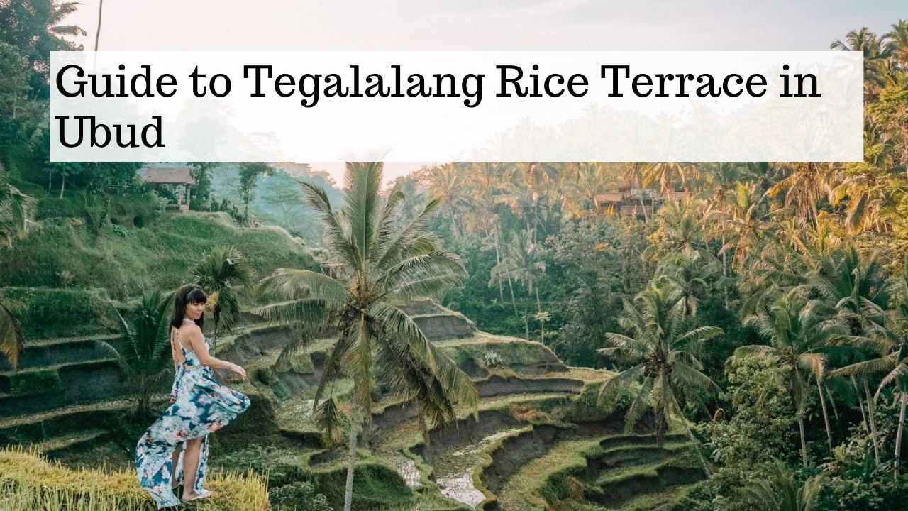 Guide to Tegalalang Rice Terrace in Ubud