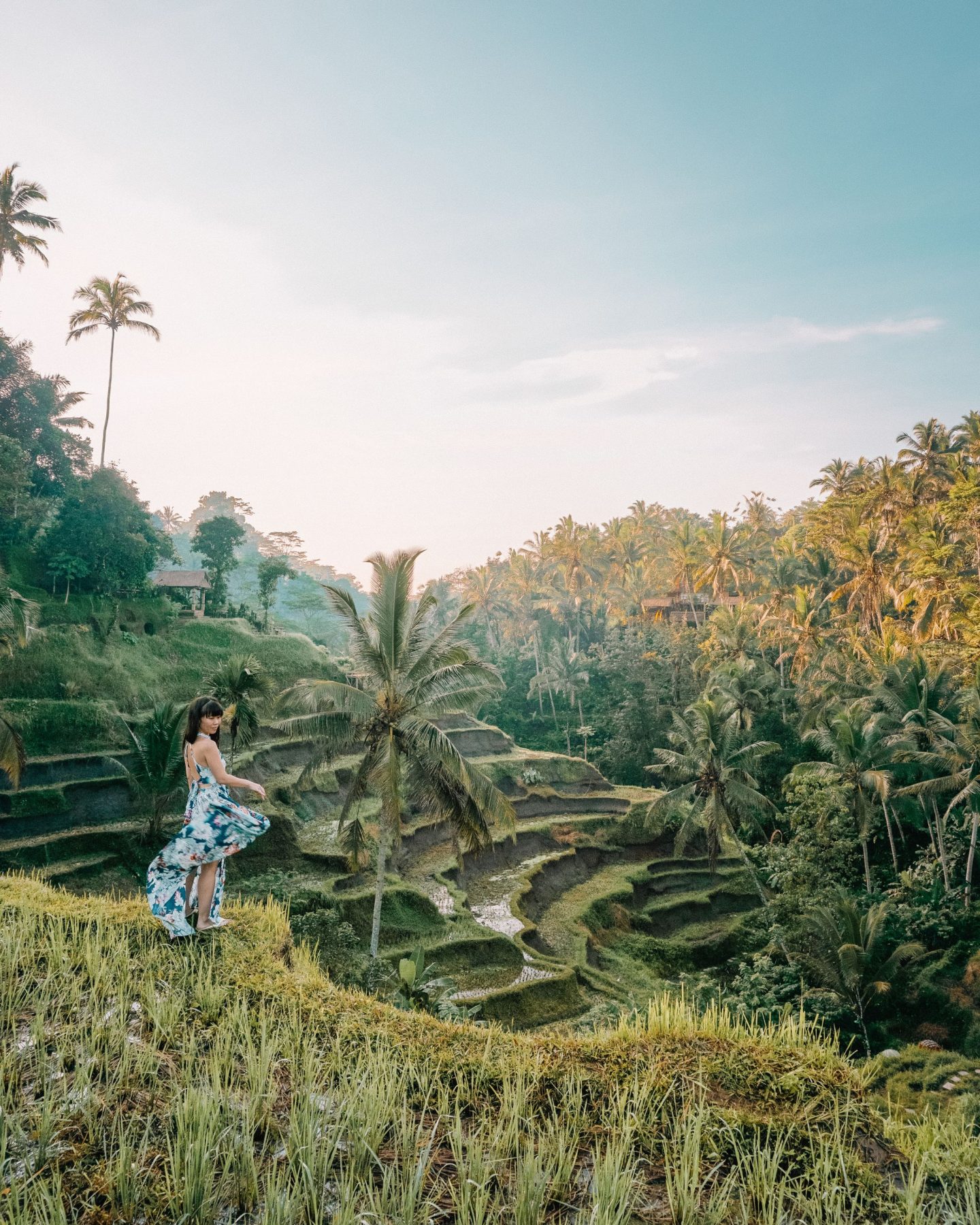 Rice Terraces in Bali