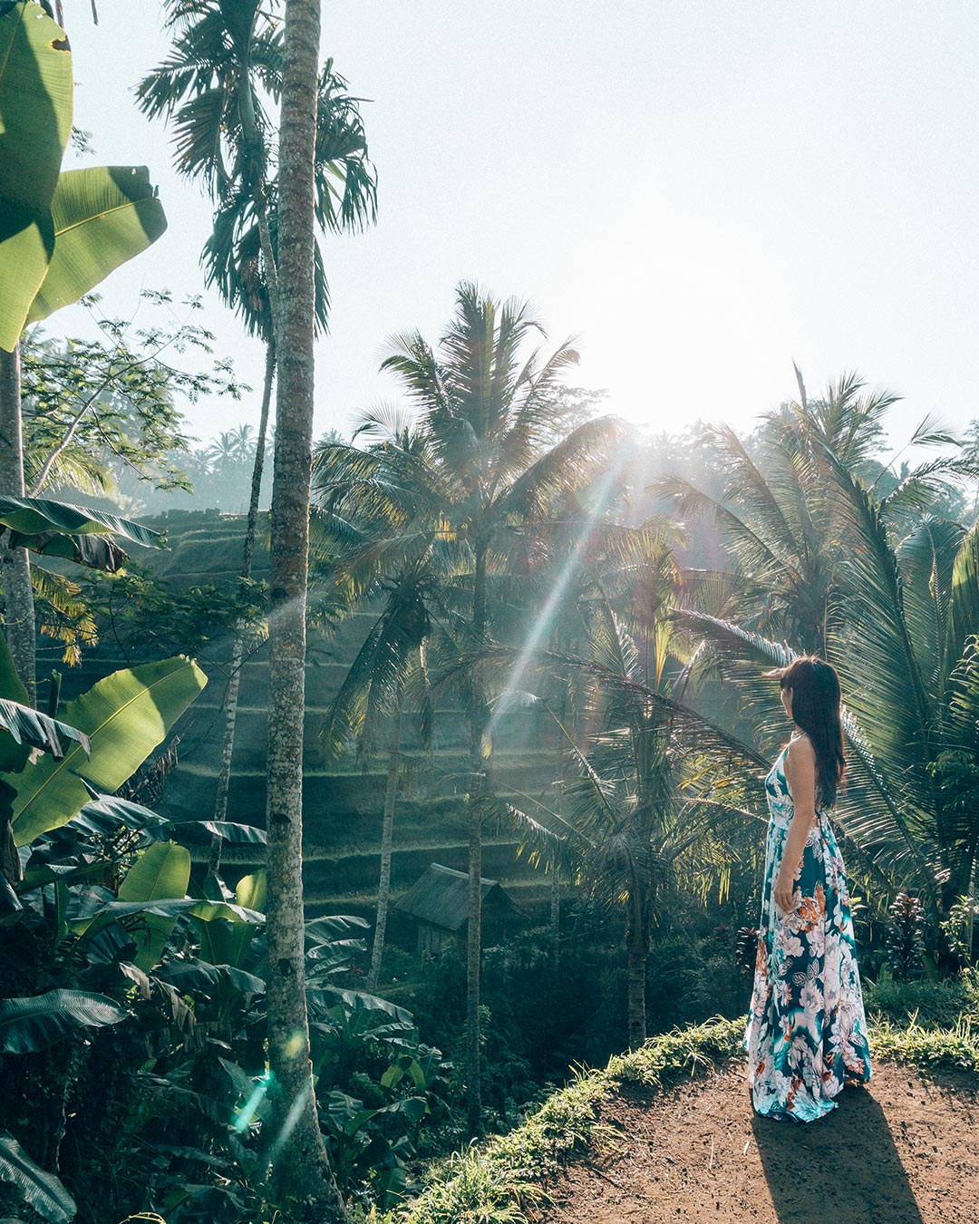 An Easy Guide to the Tegalalang Rice Terrace in Ubud Bali