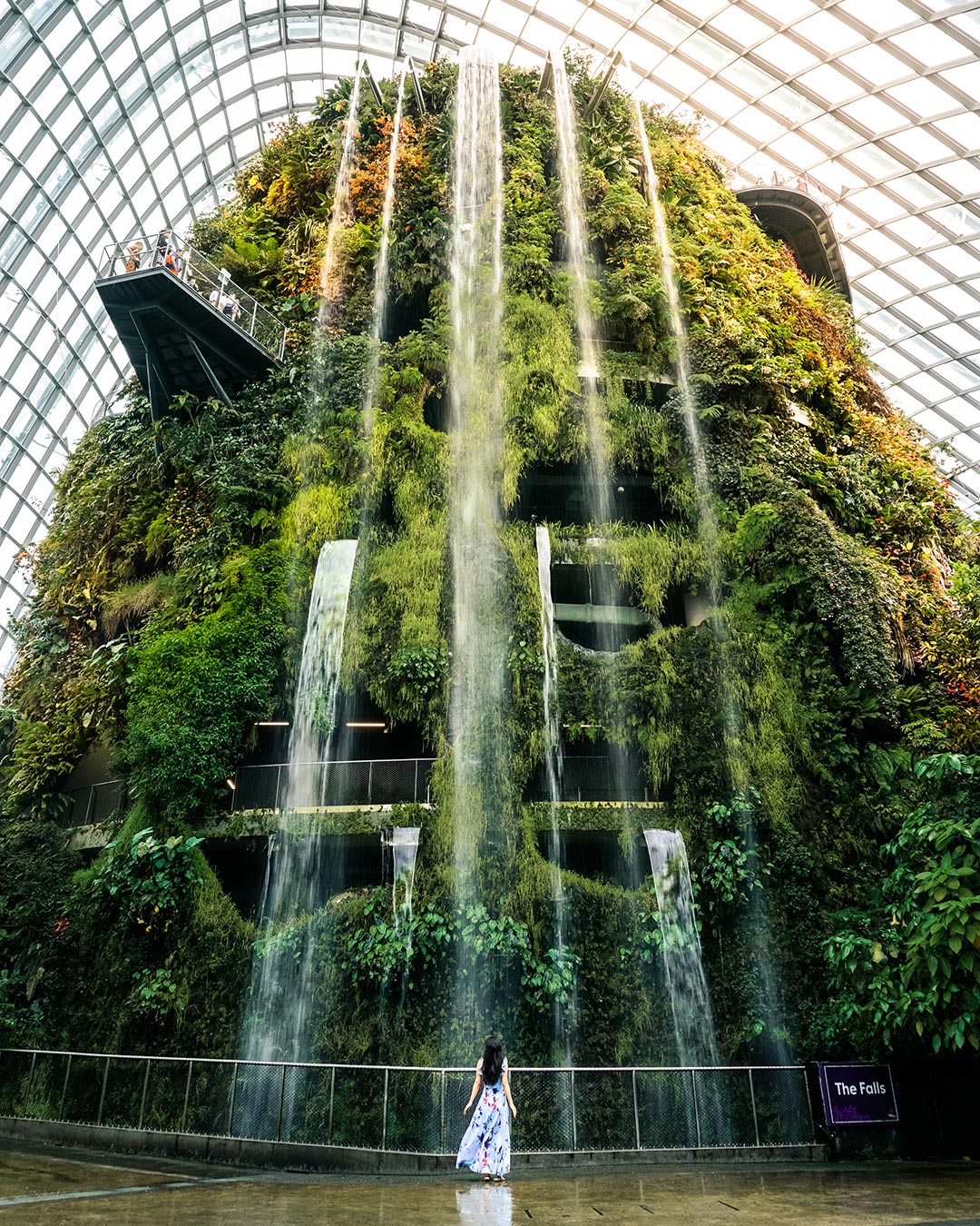 Cloud Forest Waterfall