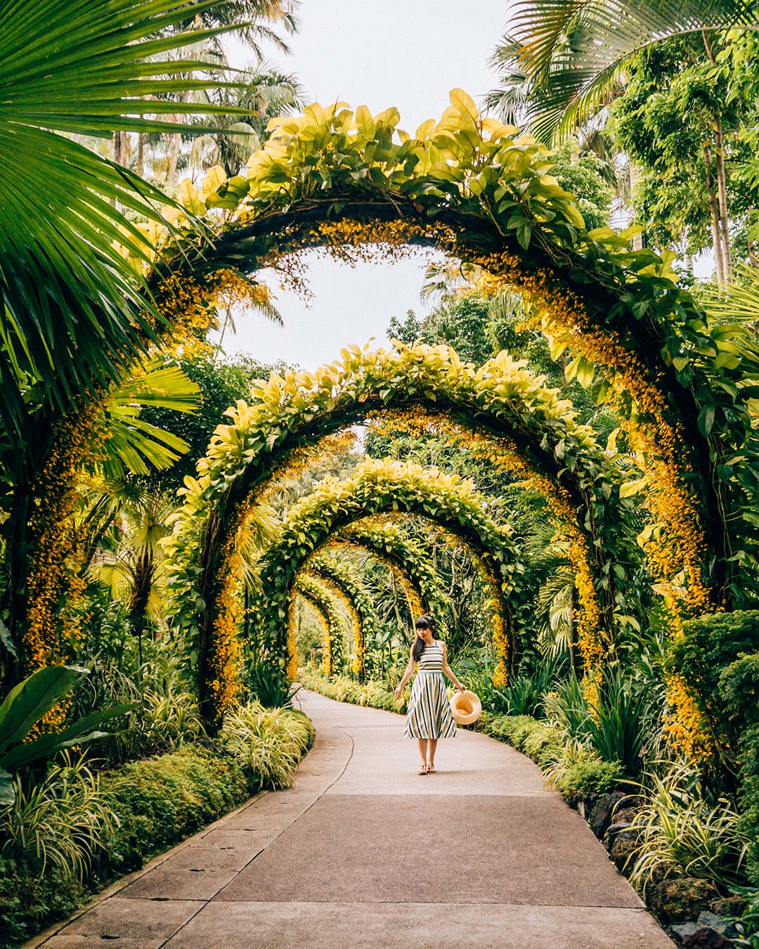 Why You Should Visit The Singapore Botanic Gardens Travel In Our Eyes