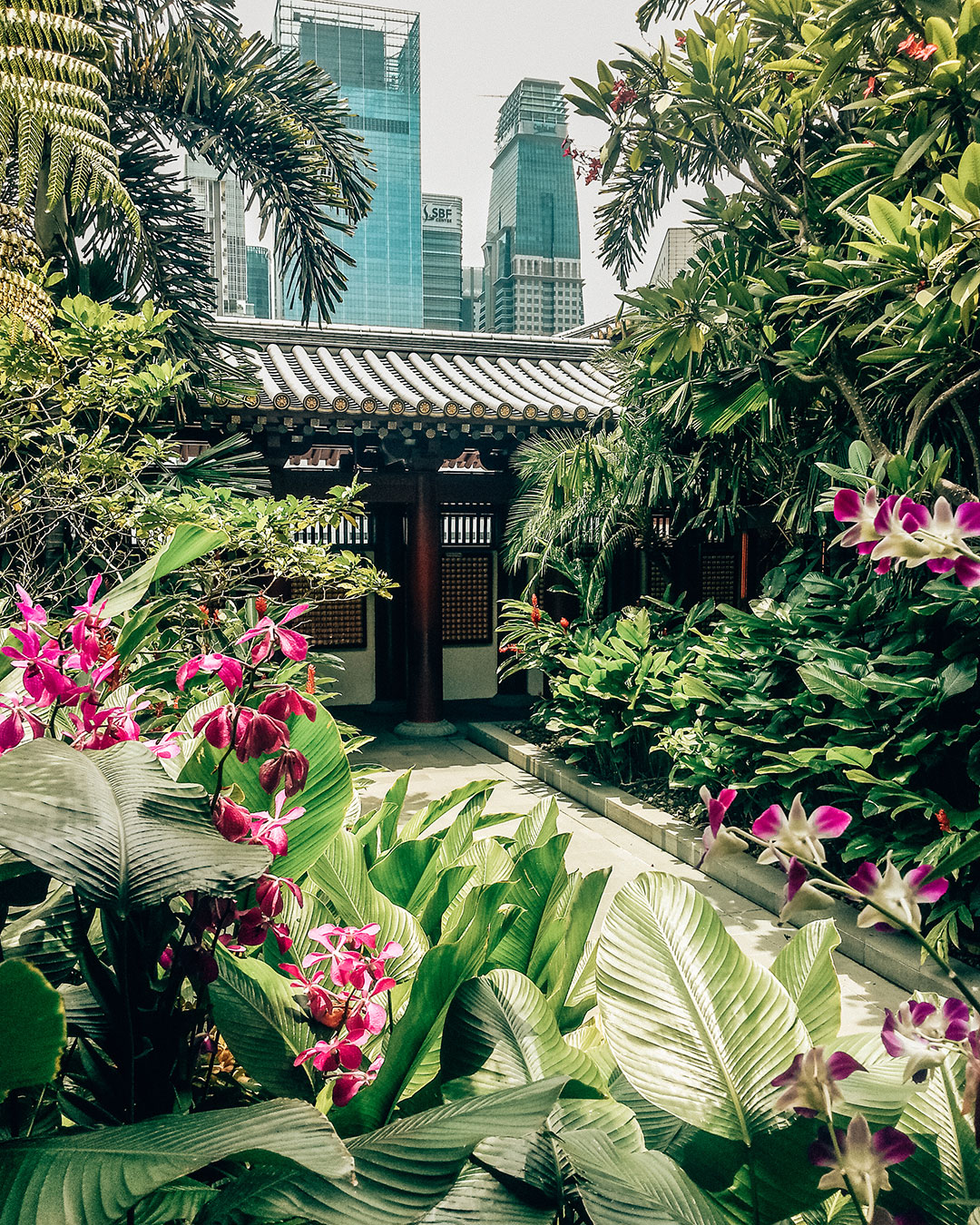 Tooth Relic Temple Rooftop Orchid Garden 