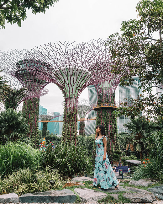 Capturing Perfection: Singapore's Top 10 Instagram-Worthy Spots - Gardens by the Bay